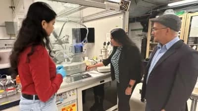 ADN y perovskita: un memristor que gasta diez veces menos