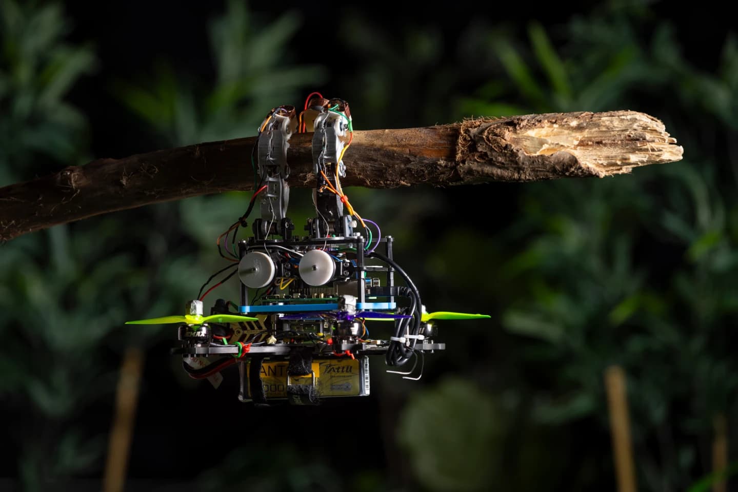 Un dron de TU Delft palpa la rama con los dedos antes de posarse