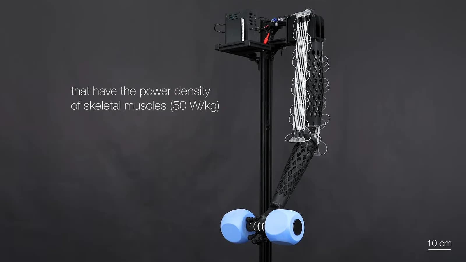 Músculos de fibra electrofluídicos para robots humanoides