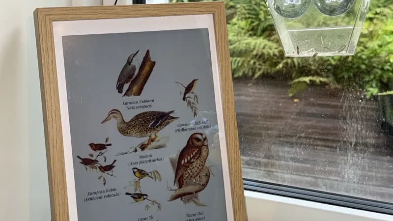 Un Raspberry Pi 5 dibuja los pájaros que oye en tinta electrónica