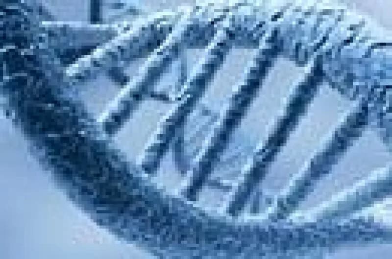 Google DeepMind lanza AlphaGenome Atlas: un mapa genético global