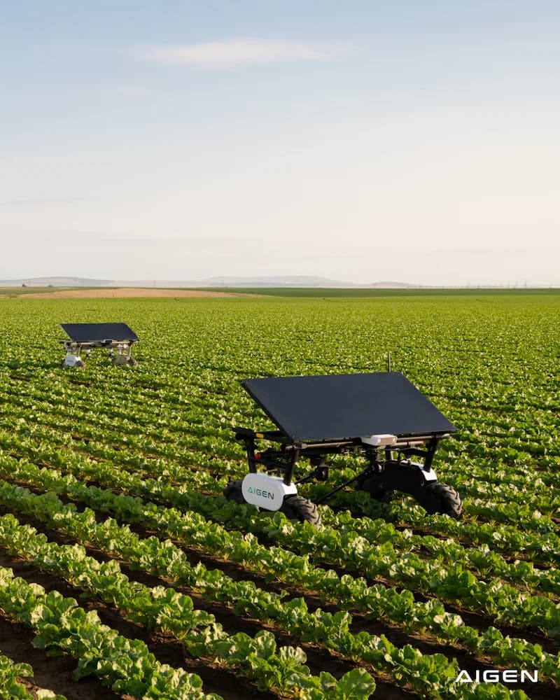 Aigen entrena robots agrícolas solares para un cultivo nuevo en una sema