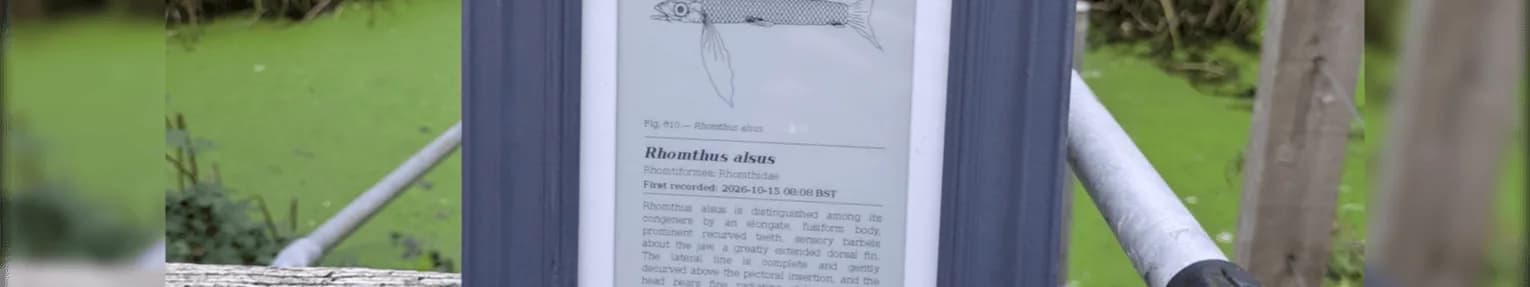 Un Arduino UNO Q inventa peces y los dibuja en tinta electrónica