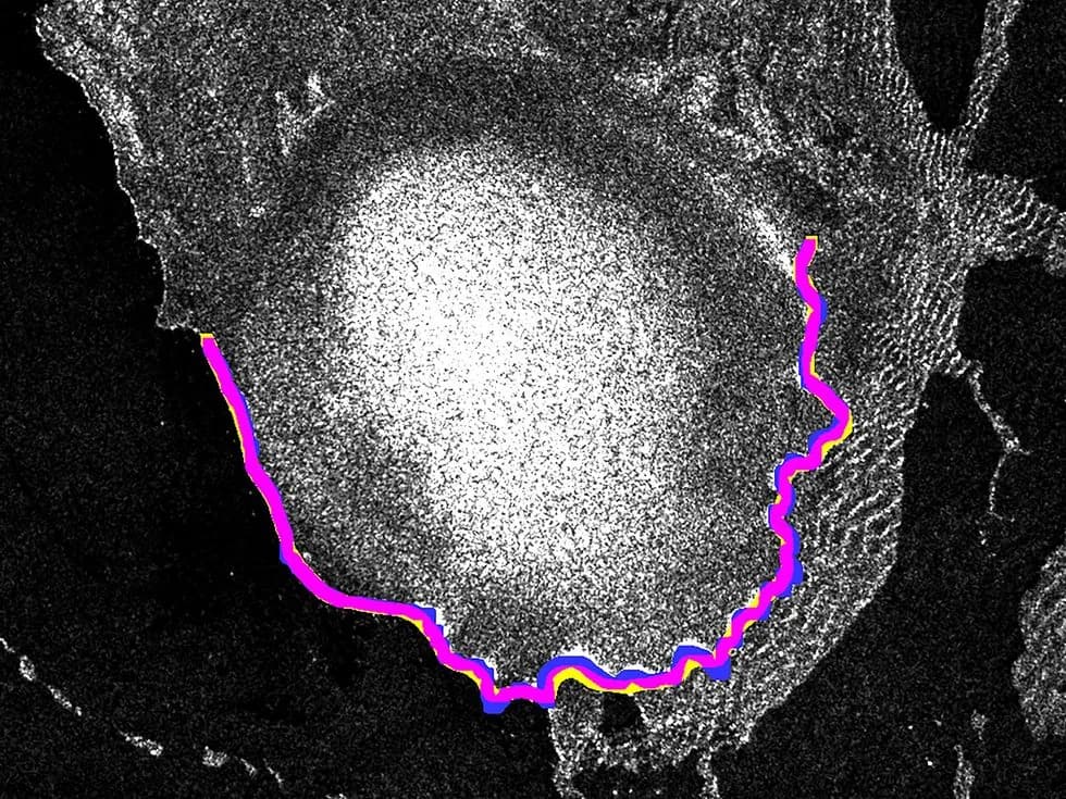 IA optimiza el monitoreo global de glaciares en retroceso
