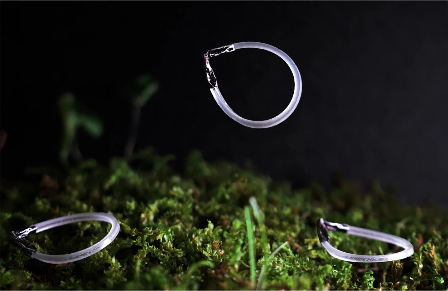 Un anillo elástico de NC State salta sin parar con luz infrarroja