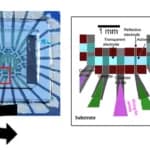 Un fotodiodo orgánico alcanza 3,6 Gbps en un enlace Li-Fi