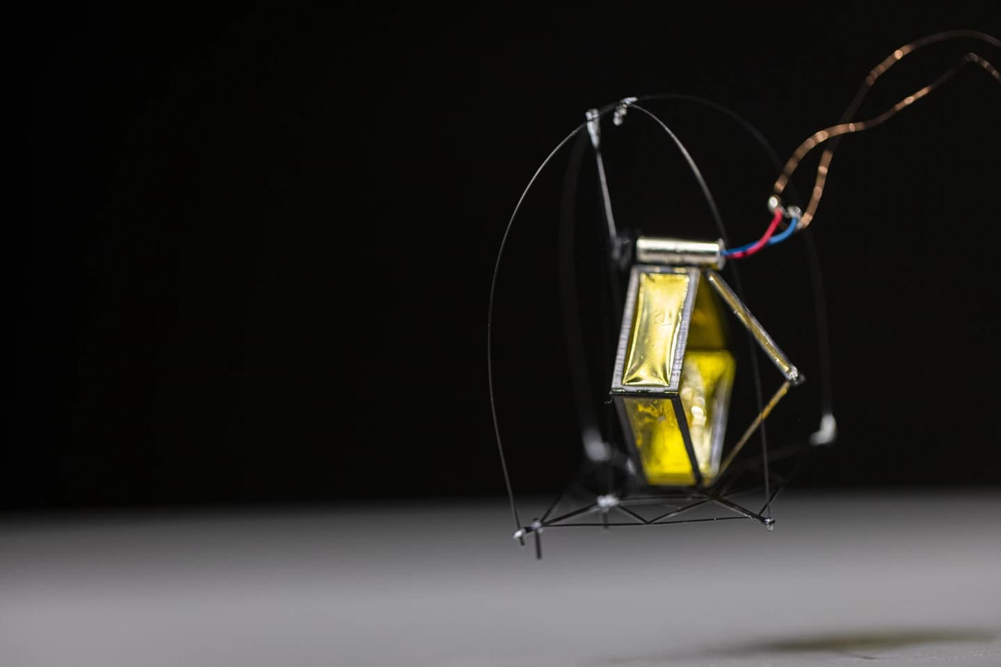 DirectHop, un robot saltador de 1 gramo inspirado en la pulga
