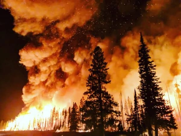 Enjambres de drones ganan 500.000 dólares en el XPRIZE de incendios