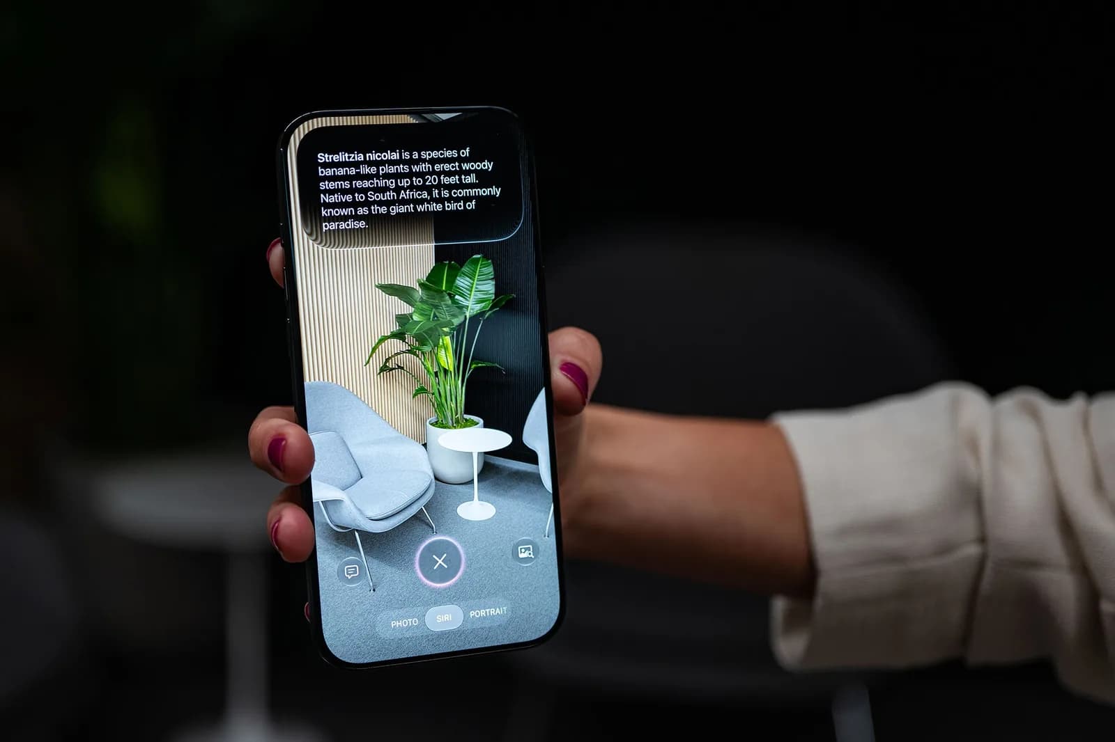 Apple lleva IA generativa a Photos en iOS 27 con reglas estrictas