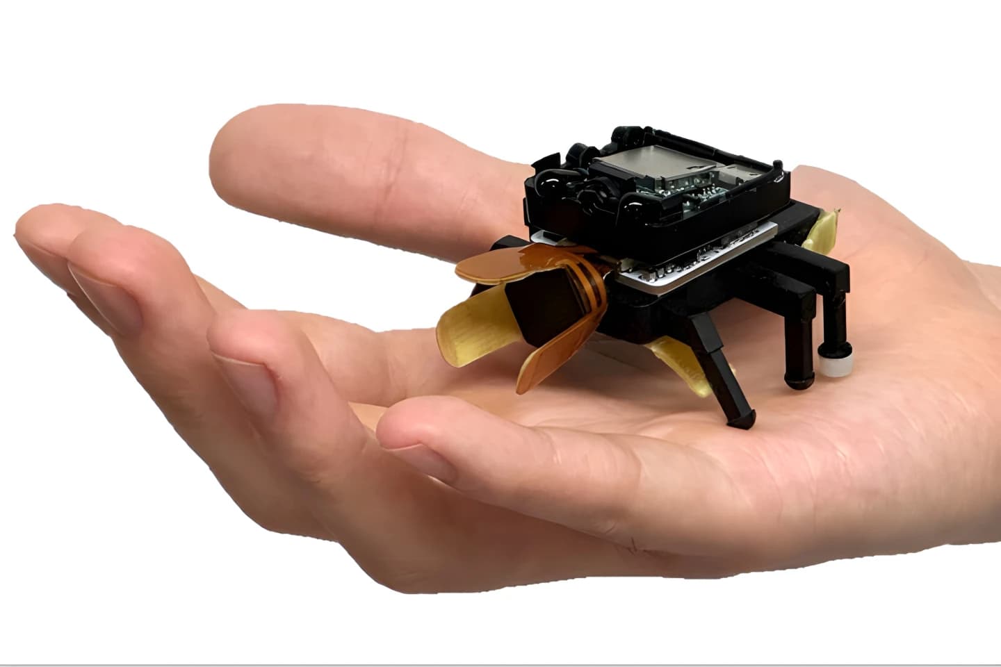 BeetleBot, el escarabajo robot de KAIST que se maneja con un dedo