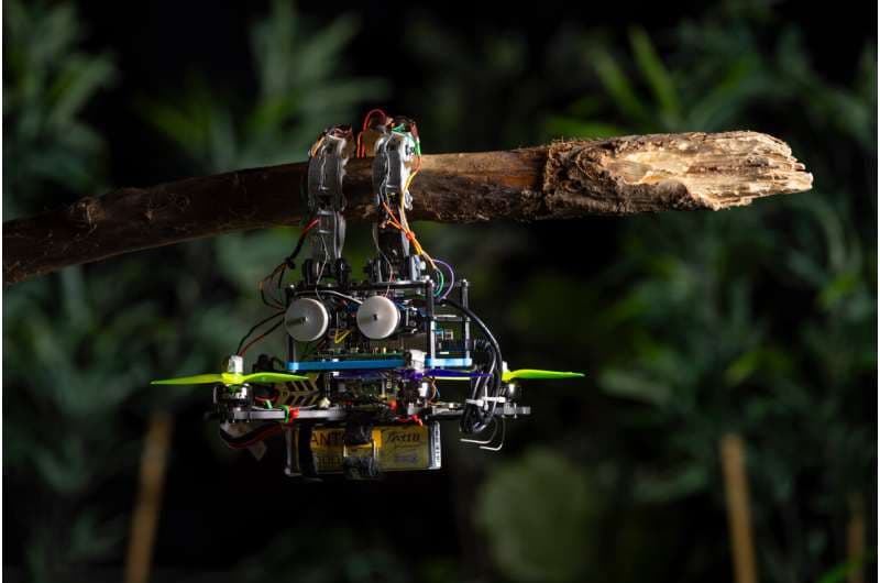 Un dron de TU Delft se posa en ramas guiándose por el tacto