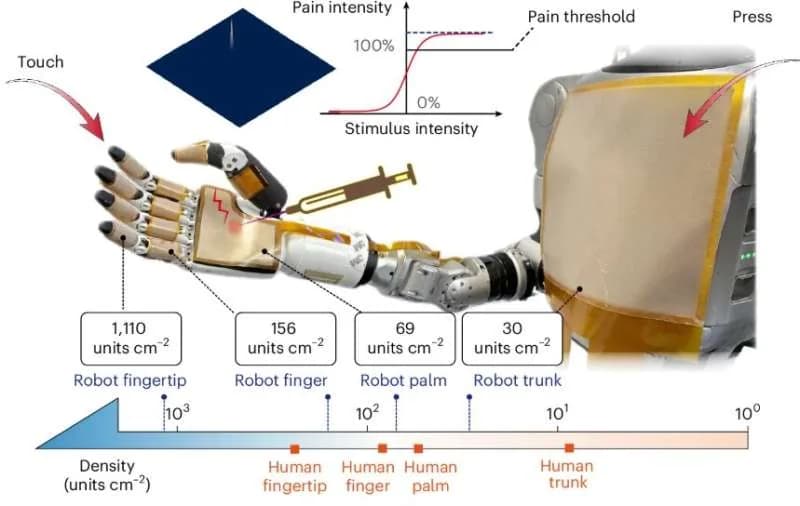 Una piel artificial deja a dedos robóticos sentir el tacto en 23