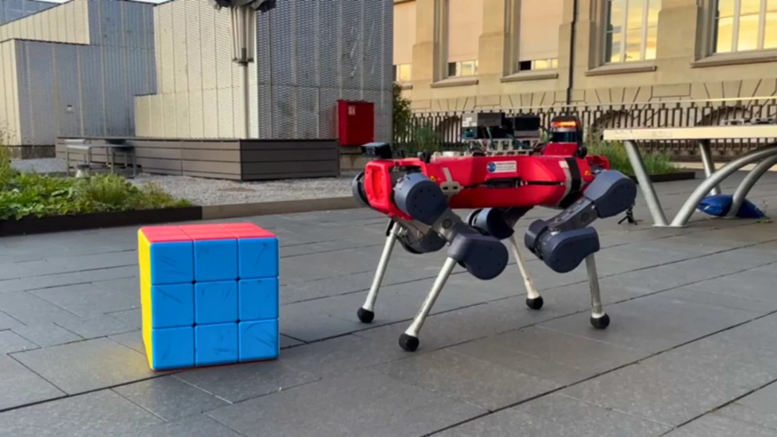 ANYmal resuelve un cubo de Rubik gigante solo con las patas