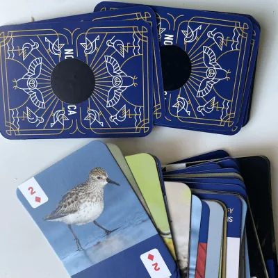 Un mazo de cartas de aves y un rollo de etiquetas NFC forman un juego listo para escanear sin tener que diseñarlo