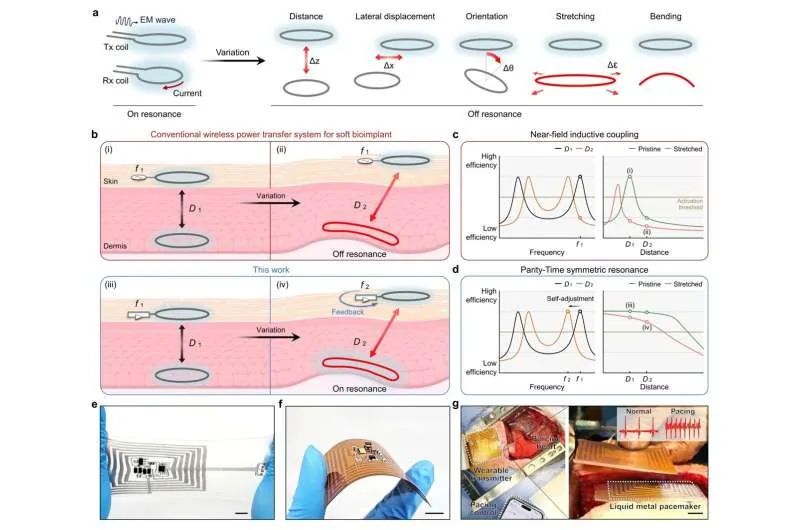 La figura muestra un sistema de energía inalámbrica diseñado para mantener funcionando implantes blandos pese al movimiento y la deformación. Crédito: Nature Electronics (2026), https://doi.org/10.1038/s41928-026-01714-0